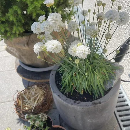 Blanc - Private Ferienresidenz Mit Pool & Garten 公寓 Rain