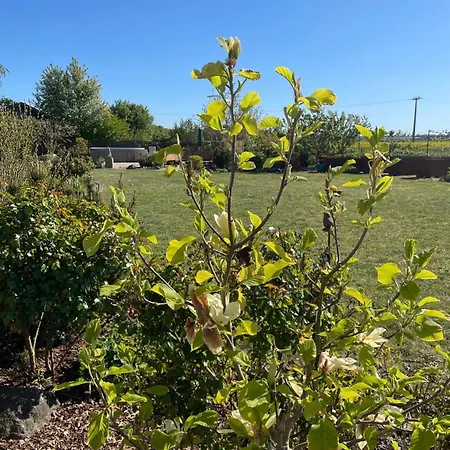 Blanc - Private Ferienresidenz Mit Pool & Garten