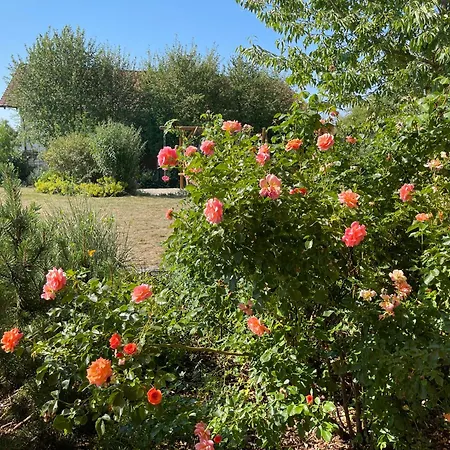 公寓 Blanc - Private Ferienresidenz Mit Pool & Garten